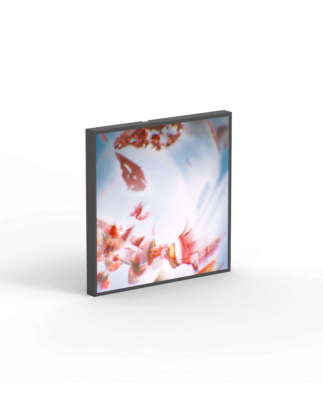 22" Square Blackdove Digital Canvas Rental