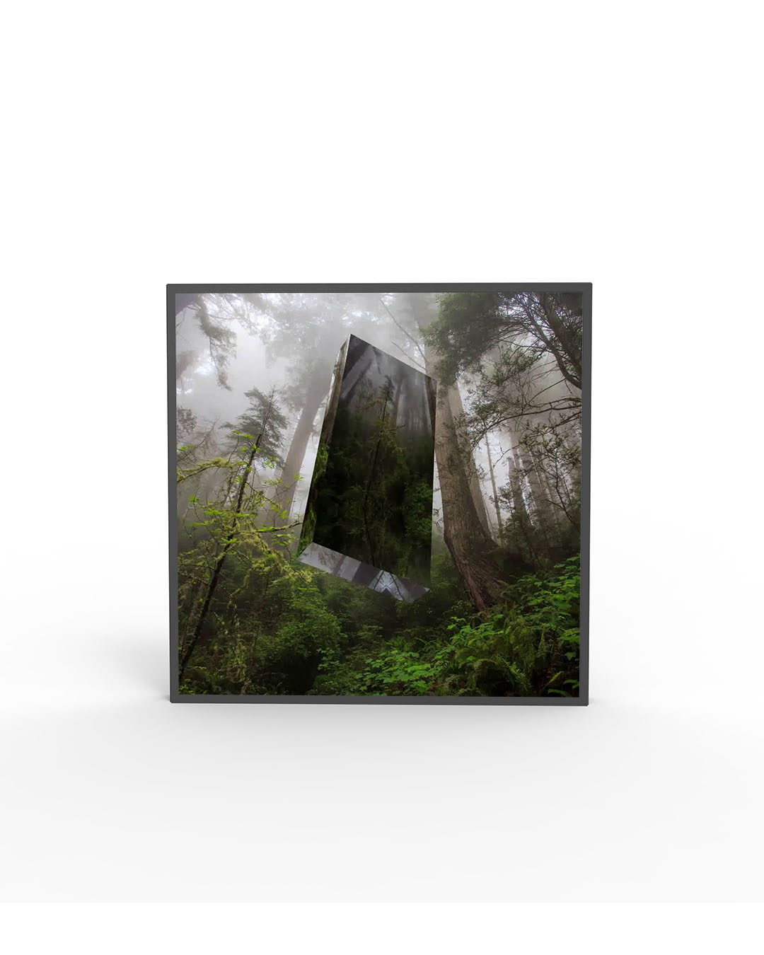 22" Square Blackdove Digital Canvas Rental