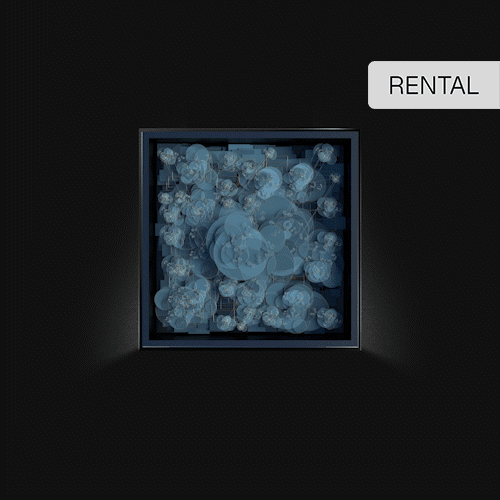 33" Square Blackdove Digital Canvas Rental