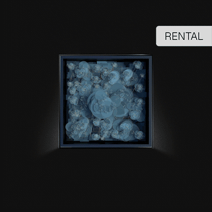 33" Square Blackdove Digital Canvas Rental